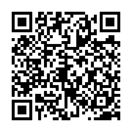 QR code for L296551