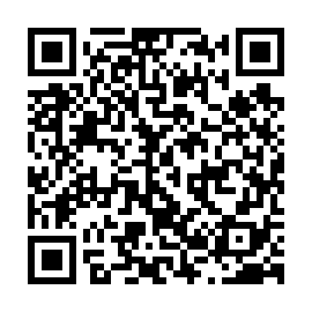 QR code for L29678