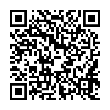 QR code for L29956