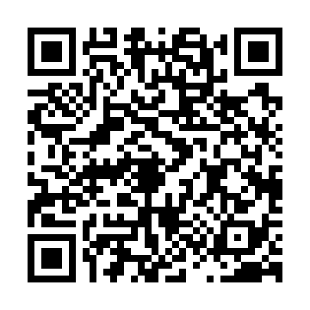 QR code for L307383