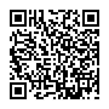 QR code for L308379