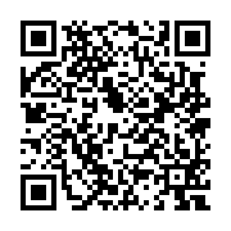 QR code for L310935