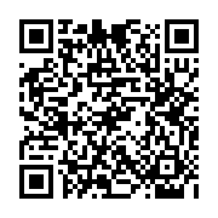 QR code for L312536
