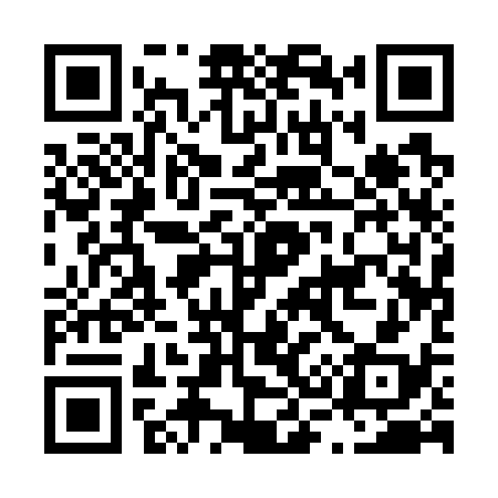 QR code for L31738