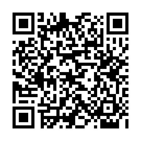 QR code for L323538