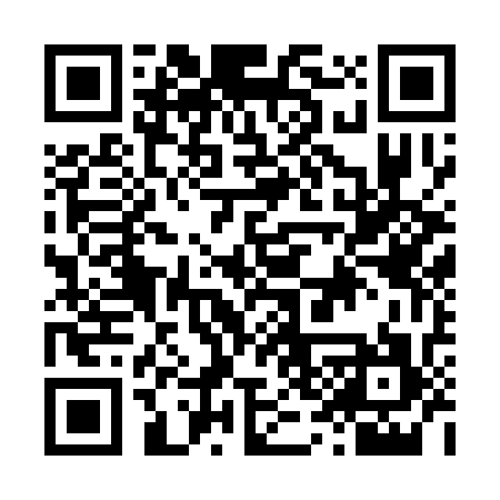 QR code for L33337