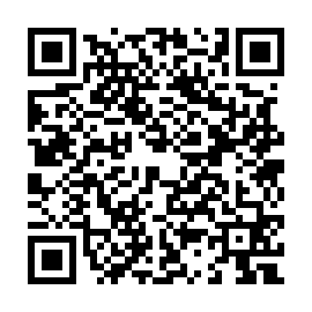 QR code for L335604