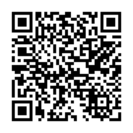 QR code for L33676