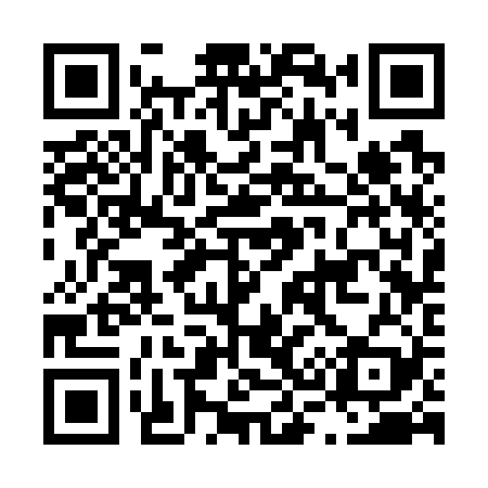 QR code for L33729