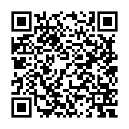 QR code for L338636