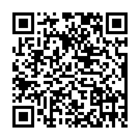 QR code for L338884