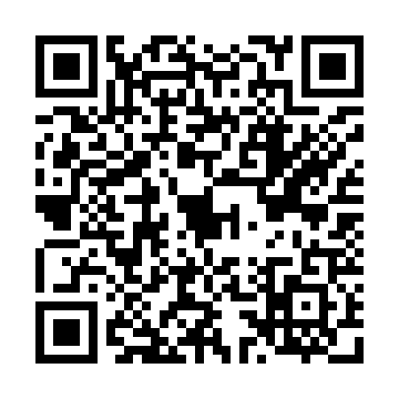 QR code for L339216