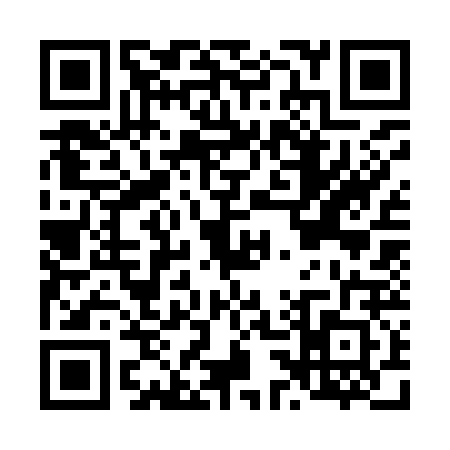 QR code for L339222