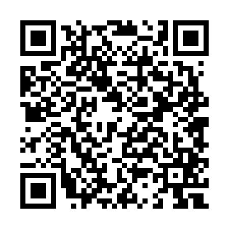 QR code for L346451