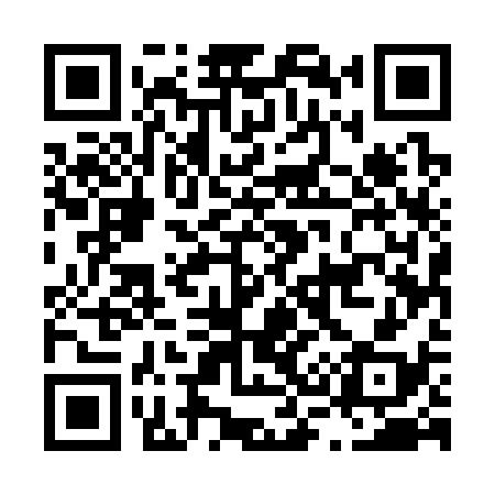 QR code for L35338