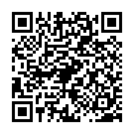 QR code for L370951