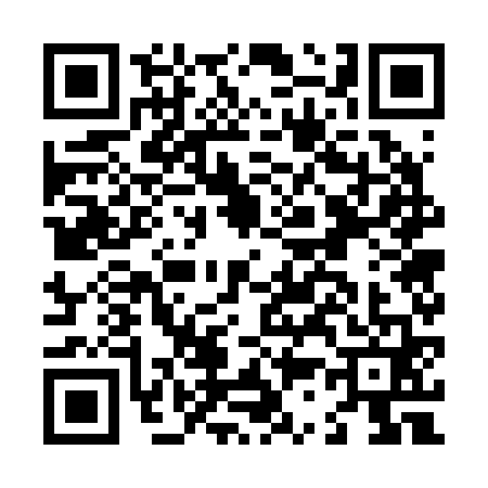 QR code for L372619