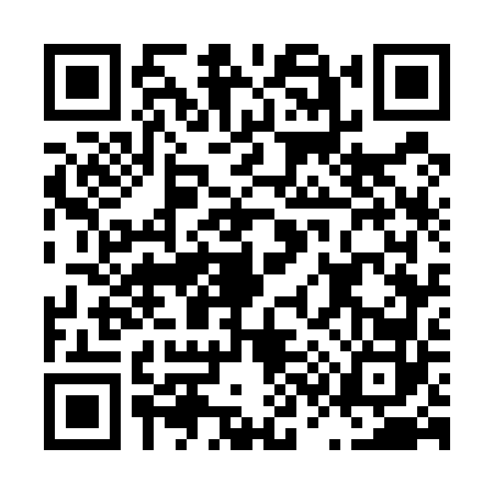 QR code for L375621