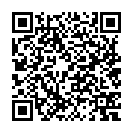 QR code for L379346