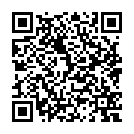 QR code for L381372
