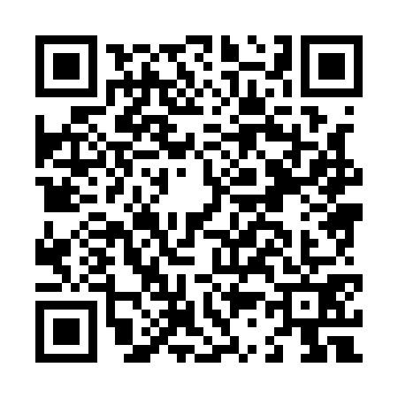 QR code for L381711