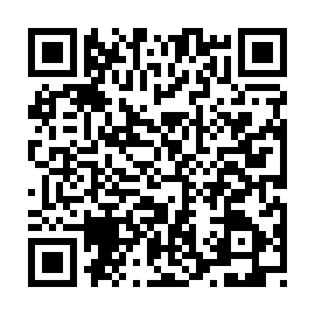 QR code for L381871
