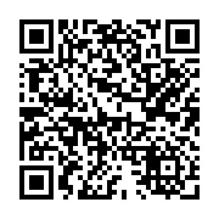 QR code for L38317