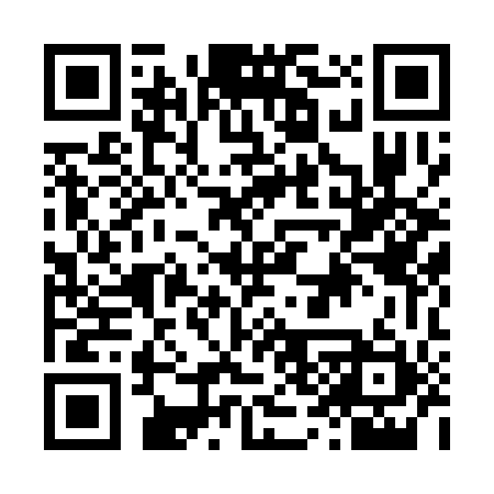 QR code for L38351