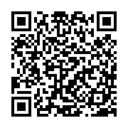 QR code for L38441