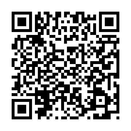 QR code for L384674