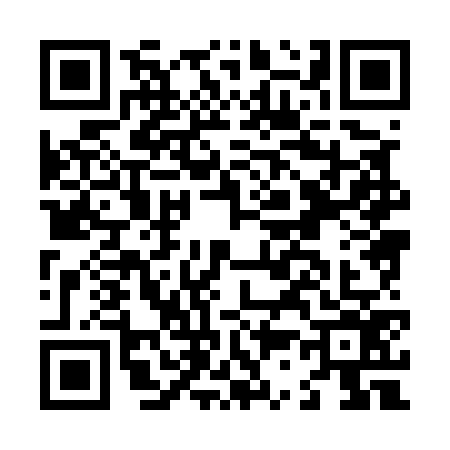 QR code for L385768