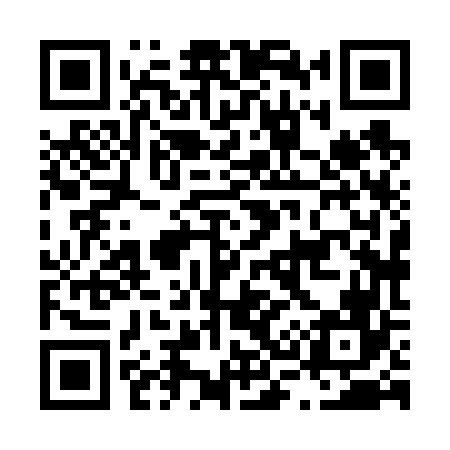 QR code for L38666