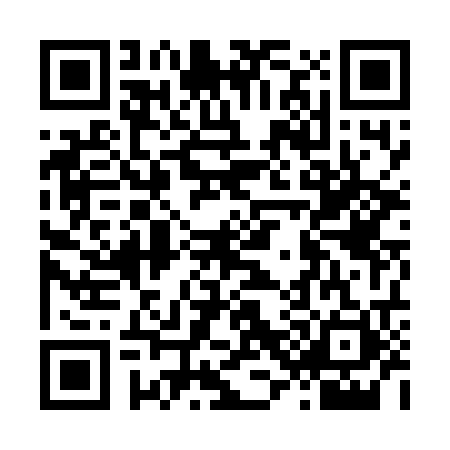 QR code for L387218