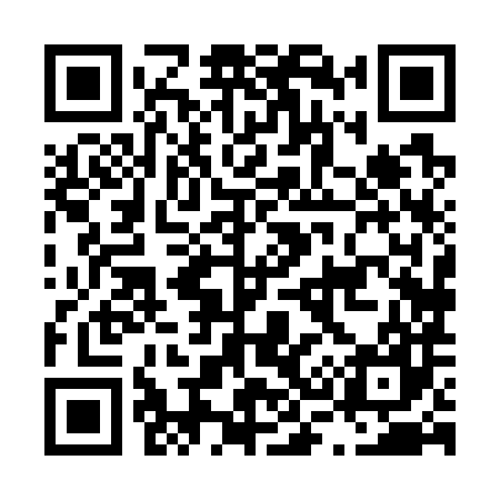 QR code for L38787