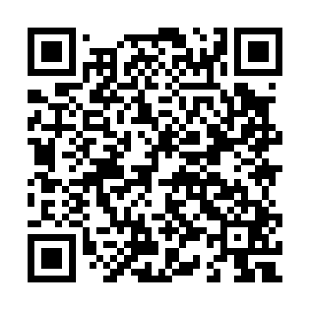QR code for L39041