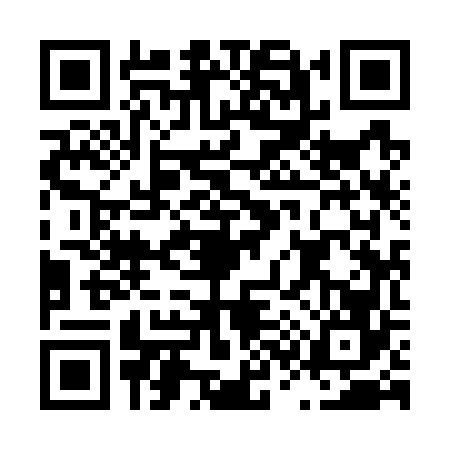QR code for L397665
