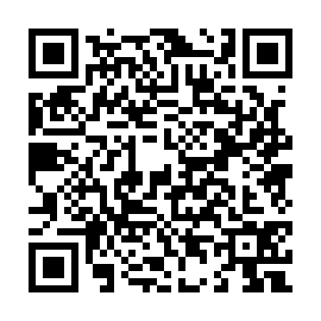 QR code for L401346