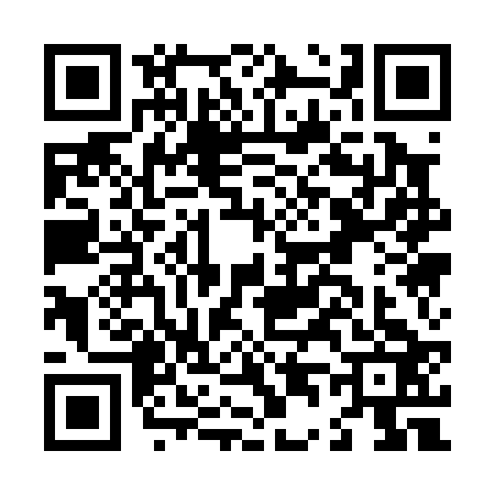 QR code for L410237