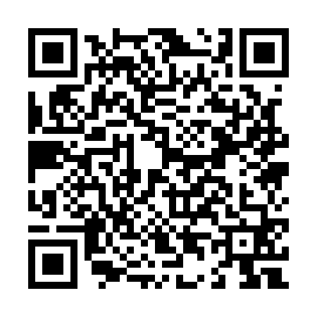 QR code for L411606