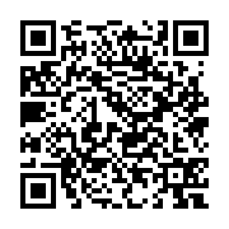 QR code for L413341