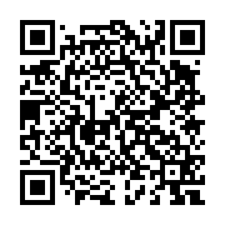 QR code for L41461