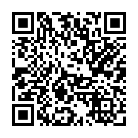 QR code for L42381