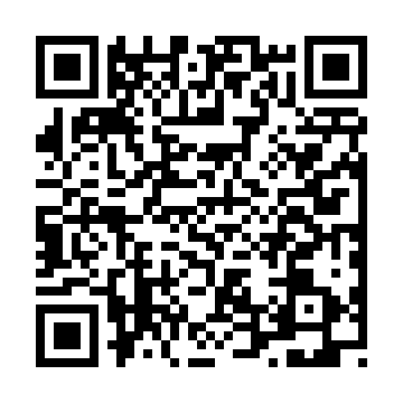 QR code for L424238