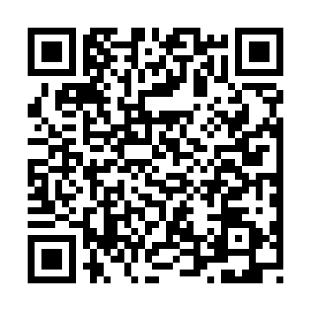 QR code for L425227