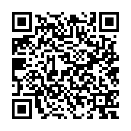 QR code for L425325