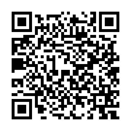 QR code for L425654