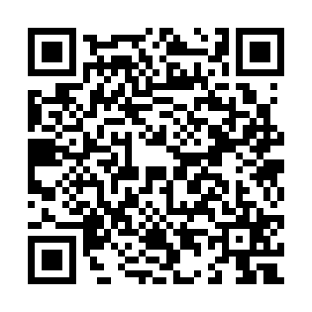QR code for L433253