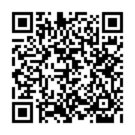 QR code for L446653
