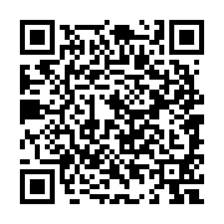 QR code for L446909
