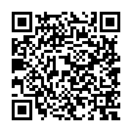 QR code for L448587